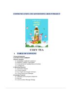 communication and advertising group project cozy tea