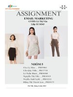 tiểu luận email marketing helen