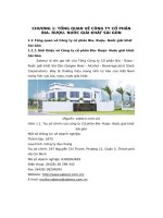 tiểu luận tổng quan về công ty cổ phầnbia rượu nước giải khát sài gòn