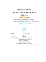 tiểu luận báo cáo môn marketing nội dungxây dựng kế hoạch content marketing nhãn hàng baby dolsea