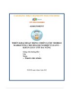 tiểu luận triển khai hoạt động chiến lược mobilemarketing cho doanh nghiệp cleany khăn giấy ướt đa năng