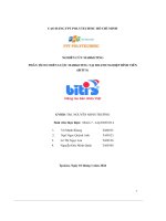 tiểu luận nghiên cứu marketing phân tích chiến lược marketing tại doanh nghiệp bình tiênbitis