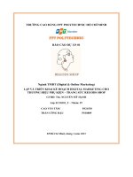 tiểu luận lập và triển khai kế hoạch digital marketing chothương hiệu phụ kiện trang sức regods shop