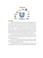 content quản trị học sinh unilever