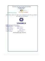 tiểu luận phân tích và đề xuất chiến lược marketing cho công ty cổ phầnsữa việt nam vinamilk