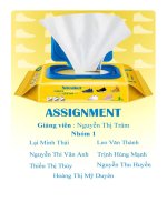 tiểu luận lựa chọn sản phẩm và hình thànhý tưởng bán hàng online giấy lau giầy tiện lợi