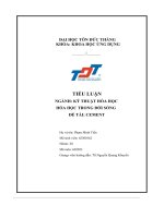 tiểu luận hóa học trong đời sống đề tài cement