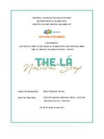 tiểu luận xây dựng chiến lược digital marketing cho thương hiệu the lá trong giai đoạn 03 2024 06 2024