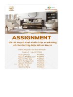 tiểu luận hoạch định chiến lược marketing số cho thương hiệu winna decor