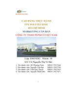 tiểu luận marketing căn bảncông ty tnhh pepsico việt nam