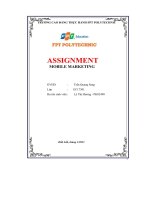 tiểu luận mobile marketing cho seulspa