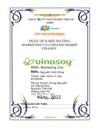 tiểu luận nghiên cứu môi trường marketing của vinasoy và marketing 4p của fami