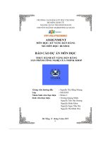 tiểu luận báo cáo dự án môn học thực hành kỹ năng bán hàng sản phẩm công nghệ của think shop