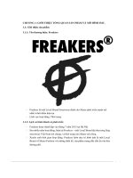 tiểu luận giới thiệu tổng quan sản phẩm và mô hình imc tên thương hiệu freakers