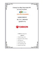 tiểu luận dự án orion vina