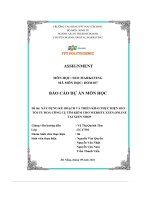 tiểu luận xây dựng kế hoạch và triển khai thực hiện seo tối ưu hoá công cụ tìm kiếm cho website xzen onlinetại xzen shop