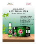 tiểu luận asm quản trị bán hàng coca cola