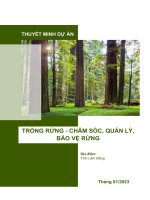 Thuyết minh dự Án trồng rừng và bảo vệ rừng.www.duanviet.com.vn/0918755356
