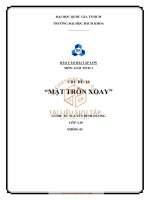 báo cáo bài tập lớn môn giải tích 1 chủ đề 10 mặt tròn xoay