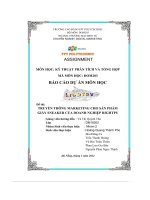 tiểu luận đề tài truyền thông marketing cho sản phẩm giày sneaker của doanh nghiệp rightpy