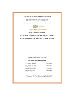 tiểu luận kế hoạch triển khai dự án truyền thôngmạng xã hội về chủ đề bạo lực học đường