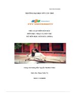 tiểu luận môn đàn bầu môn học nhạc cụ dân tộc