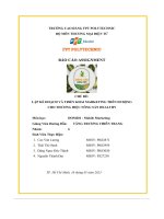 tiểu luận chủ đề lập kế hoạch và triển khai marketing trên di độngcho thương hiệu nông sản healthy
