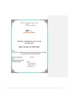 tiểu luận xây dựng và triển khai kế hoạch marketing mạng xã hội cửa hàng quần áo mina boutique