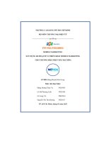 tiểu luận mobile marketing xây dựng kế hoạch và triển khai mobile marketing cho thương hiệu điện máy đạt hòa