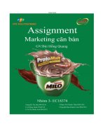 tiểu luận marketing căn bản tên doanh nghiệp nestlé