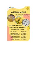 tiểu luận ây dựng chiến dịch bán hàng cho acecook