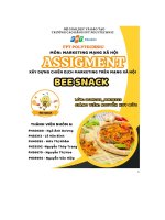 tiểu luận xây dựng chiến dịch marketing trên mạng xã hội bee snack
