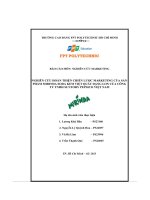 tiểu luận nghiên cứu hoàn thiện chiến lược marketing của sảnphẩm mirinda soda kem việt quất dạng lon của côngty tnhh suntory pepsico việt nam