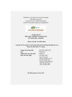 tiểu luận chuyên đề xây dựng và triển khai kế hoạch marketing di động cho cửahàng nón bảo hiểm vĩ cường