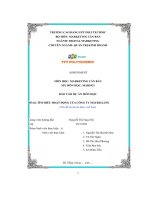 tiểu luận đề tài tìm hiểu hoạt động của công ty maybelline