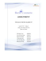 asignment môn tổng quan thương mại điện tử tên thương hiệu berie comestic