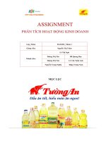 tiểu luận phân tích hoạt động kinh doanh công ty cổ phần dầu thực vật tường an