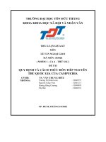 đề tài quy định và cách thức đón tiếp nguyên thủ quốc gia của campuchia