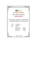 tiểu luận lập kế hoạch marketing trên di độngcho thương hiệu ăn vặt cùng tom