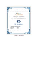 tiểu luận phân tích hoạt động kinh doanh vinamilk