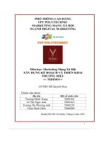 tiểu luận ây dựng kế hoạch và triển khaithương hiệu tidimo