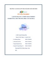 tiểu luận lập kế hoạch và triển khai mobilemarketing cho thương hiệu len handla