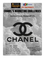 chanels marketing challenges marketing principles