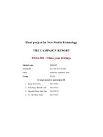 final project for new media technology the campaign report feelms films your feelings