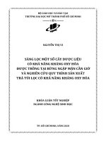 sàng lọc một số cây dược liệu có khả năng kháng oxy hóa được trồng tại rừng ngập mặn cần giờ và nghiên cứu quy trình sản xuất trà túi lọc có khả năng kháng oxy hóa