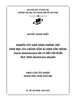 nghiên cứu khả năng phòng trừ sinh học của chủng nấm kí sinh côn trùng isaria fumosorosea bb v3 đối với ruồi đục trái bactrocera dosalis
