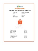 assigment nhập môn digital marketing thương hiệu shopee