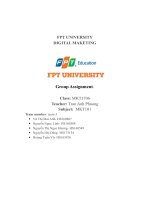 group assignment solutions to deal with the threats and the way to promote strengths of coca cola