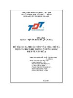 giữa kỳ quản trị văn hóa đa quốc gia đề tài so sánh các nền văn hóa mô tả một cách có hệ thống những khác biệt về văn hóa