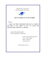 khảo sát tính kháng khuẩn của vi khuẩn nội sinh và cao chiết từ cây cúc xuyến chi sphagneticola trilobata l pruski